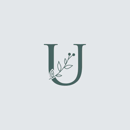 Graphic Floral Initial Alphabet U flowers bouquet composition. Unique collection for wedding invites decoration, logo and many other concept ideas.のイラスト素材