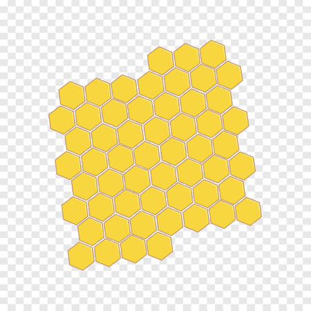 Green grass on transparent background vector icon. Modern vector design templateのイラスト素材