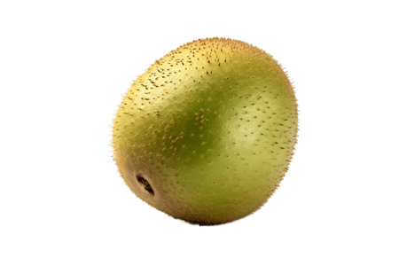 Kiwi Isolated on Transparent Backgroundの素材