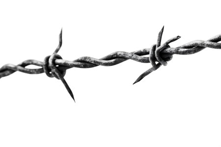Transparent Background Isolated Barbed Wireの素材