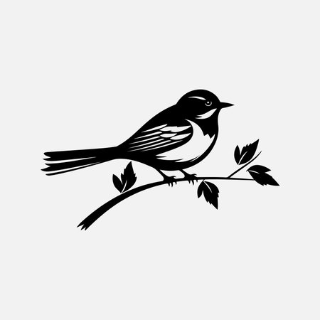 Bird logo design vector templateのイラスト素材