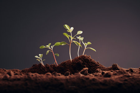 High-Quality Minimalist Stock Photography: Growth of Plants in Soilの素材