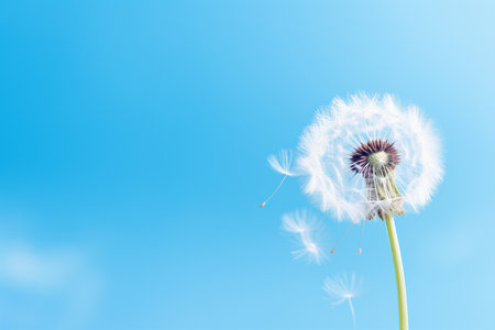 Capturing the Grace of a Dandelion Up Closeの素材