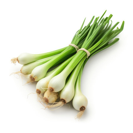 Vibrant Spring Onionの素材