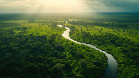 NGOs Addressing Environmental Challengesの素材