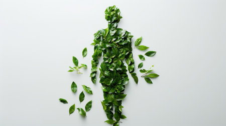 An image featuring a human silhouette created entirely from green leaves. The leaves are arranged to form the shape of a person standing upright, with some leaves scattered around the edges of the image. The background is a solid white, creating a stark contrast with the vibrant green of the leaves. The image is a creative and artistic representation of the interconnectedness between humans and nature.の素材