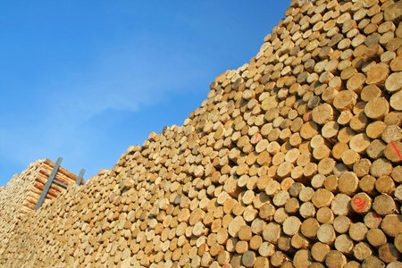 holzstapel