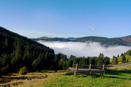 the black forest near bernauの写真素材