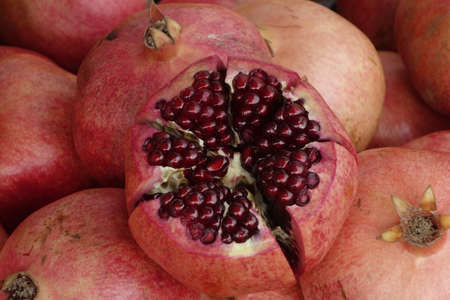 pomegranate [Punica granatum]の写真素材