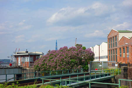 In the port of Hamburgの写真素材