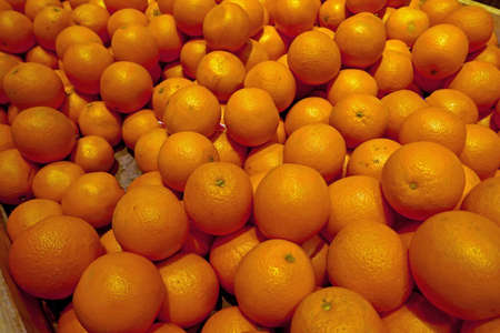 Orangesの写真素材