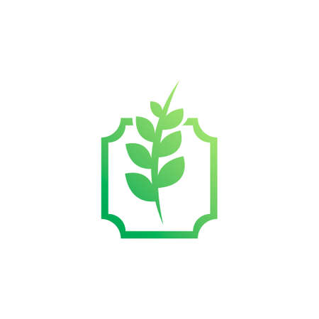 logo of a plant with leaves in a classic style rectangleのイラスト素材