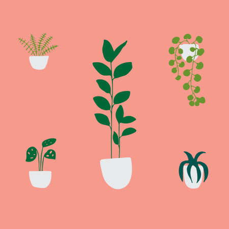Isolated ficus, ivy, palm, succulent, fern in white flowerpot. Illustration of housegarden in scandinavian style.のイラスト素材
