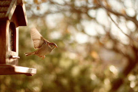 a bird feeder hanging in a backyard with sparrow in mid landing, blur on background trees, early morning light, Generative AIの素材