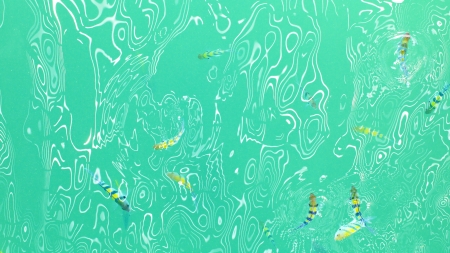 top view of colorful fish in the light green water rippleの写真素材