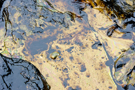 crude oil spill on the stone at the beach