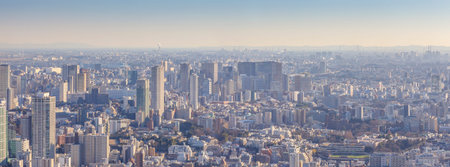 Tokyo, Japan - February 10, 2016 : cityscape of Tokyo in Japan on February 10, 2016 at Tokyo, Japan.