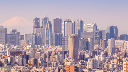 Tokyo, Japan - February 11, 2016 : cityscape of Tokyo in Japan with Fuji Mountain as a background on February 11, 2016 at Tokyo, Japan.のeditorial素材