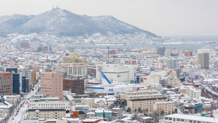 Hokkaido, Japan - December 12, 2011 : cityscape of Hakodate with Hakodate Mountain in the background shot from Goryokaku Tower on December 12, 2011 at Hokkaido, Japan.のeditorial素材