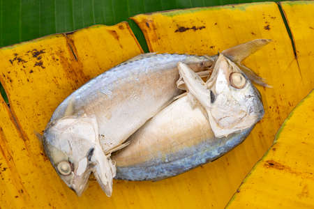 top view shot of steamed mackerel on yellow and green banana leaf texture backgroundの写真素材