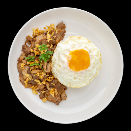 Khao Moo Tod Kratiam Kai Dao, Thai food, streamed rice topped with fried pork with garlic and fried egg in white ceramic plate isolated on black background, square ratio, top viewの写真素材