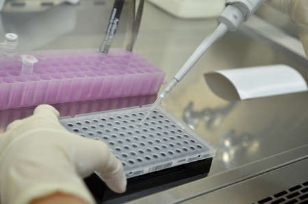 samples loadingの写真素材