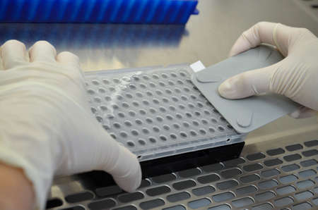 plate sealingの写真素材