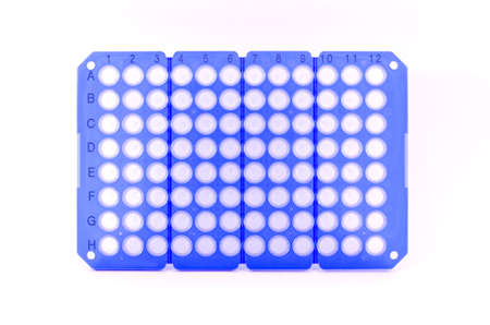 real time PCR plateの写真素材