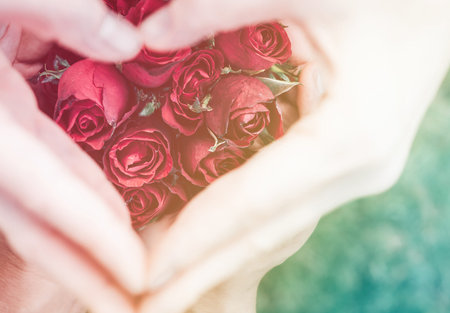 Heart of love from rose petals with heart-shaped top view of green grass. Valentine's Concept.Soft...
