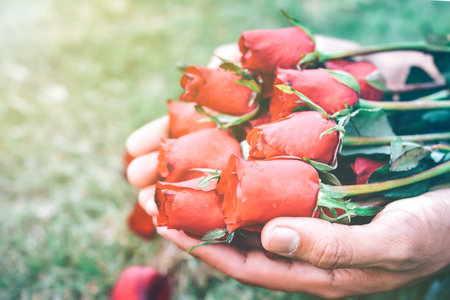 Red roses in the hands of the man ready for lovers.This Image Soft Focus.Valentine's Day concept.