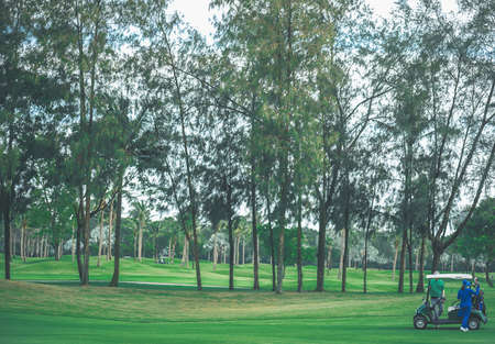 Beautiful golf courses with trees and holiday vacations.のeditorial素材
