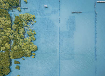 The beach with pathway around the trail and forest trees. High Angle picture.の写真素材