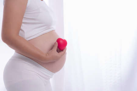 Pregnant women, one holding a red heart to express their love with a child in her womb.の写真素材