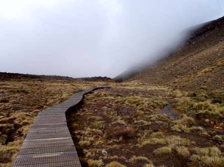 Boardwalkの写真素材