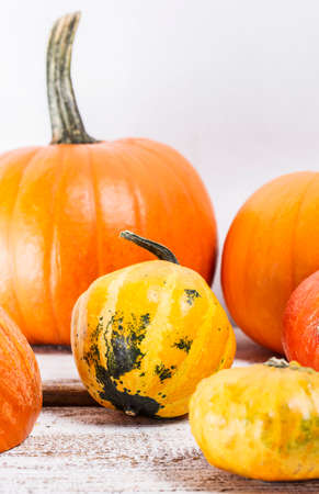 pumpkins on a white, wooden tableの写真素材