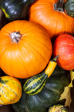 Closeup view of colorful decorative pumpkinsの写真素材