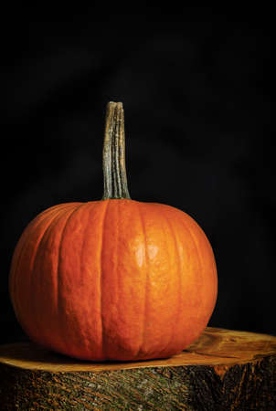 Pumpkin on a slice of woodの写真素材