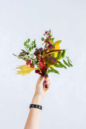 Bouquet of autumn leaves held in hand on white backgroundの写真素材