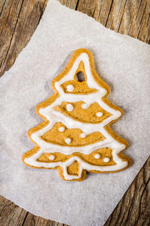 Christmas gingerbread cookieの写真素材