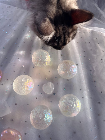 Cat selects crystals and does mineral healing session