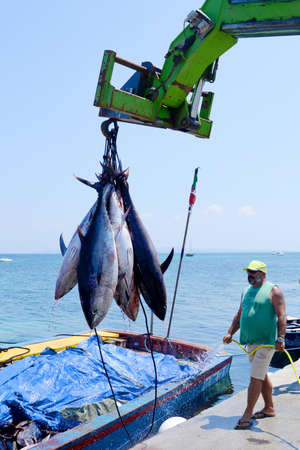 Colosseum plain view, no people under a clear skyのeditorial素材
