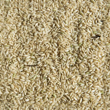 Uncooked rice china asian foodの写真素材