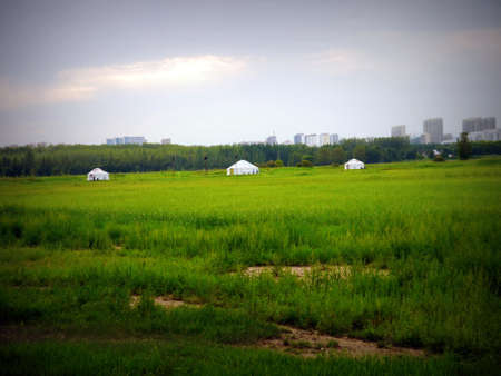 Grassland in the cityの写真素材