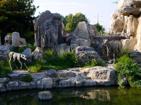 The botanical garden where sika deer is raised has beautiful flowers, the paths in the garden, the statue of sika deer, the scenery is very beautifulの写真素材