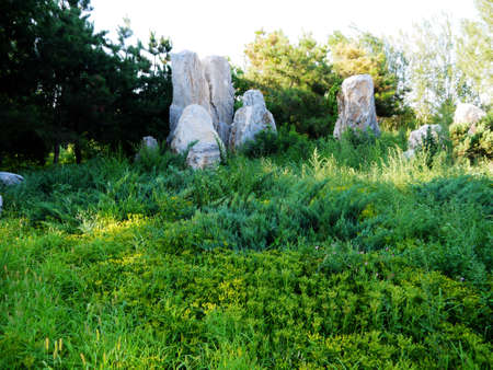 The botanical garden where sika deer is raised has beautiful flowers, the paths in the garden, the statue of sika deer, the scenery is very beautifulの写真素材