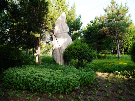 The botanical garden where sika deer is raised has beautiful flowers, the paths in the garden, the statue of sika deer, the scenery is very beautifulの写真素材