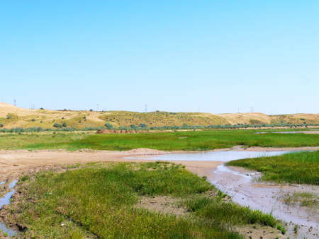The artificially managed desert forms an oasis in the desert, with cross-country, sea of flowers, streams, green plants and beautiful scenery.の写真素材