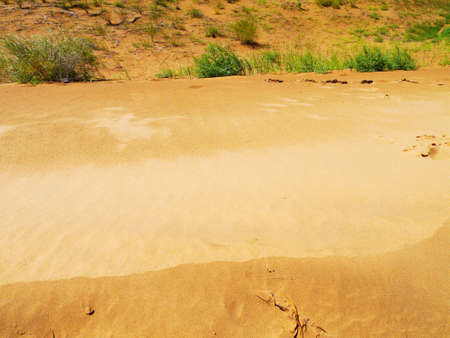 The artificially managed desert forms an oasis in the desert, with cross-country, sea of flowers, streams, green plants and beautiful scenery.の写真素材