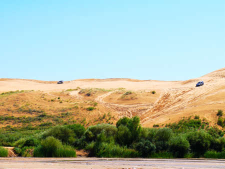The artificially managed desert forms an oasis in the desert, with cross-country, sea of flowers, streams, green plants and beautiful scenery.の写真素材