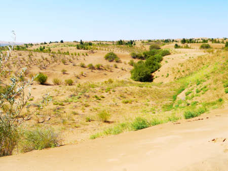 The artificially managed desert forms an oasis in the desert, with cross-country, sea of flowers, streams, green plants and beautiful scenery.の写真素材